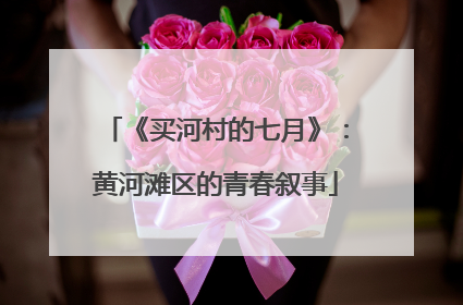 《买河村的七月》：黄河滩区的青春叙事