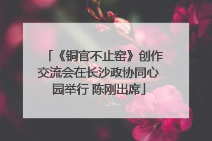 《铜官不止窑》创作交流会在长沙政协同心园举行 陈刚出席