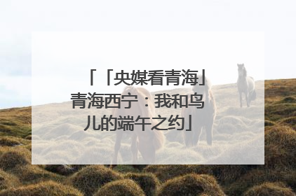 「央媒看青海」青海西宁：我和鸟儿的端午之约