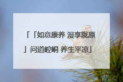 「如意康养 漫享陇原」问道崆峒 养生平凉