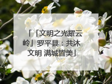 「文明之光耀云岭」罗平县：共沐文明 满城皆美