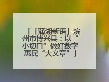 「蒲湖新语」滨州市博兴县：以“小切口”做好数字惠民“大文章”