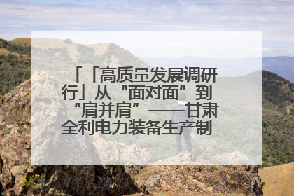 「高质量发展调研行」从“面对面”到“肩并肩”——甘肃全利电力装备生产制造项目一线见闻