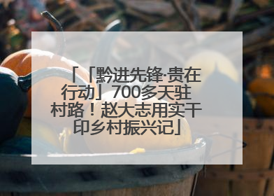 「黔进先锋·贵在行动」700多天驻村路！赵大志用实干印乡村振兴记