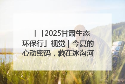 「2025甘肃生态环保行」视觉｜今夏的心动密码，藏在冰沟河的潋滟波光里
