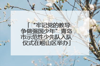 “牢记党的教导 争做强国少年”青岛市示范性少先队入队仪式在崂山区举办