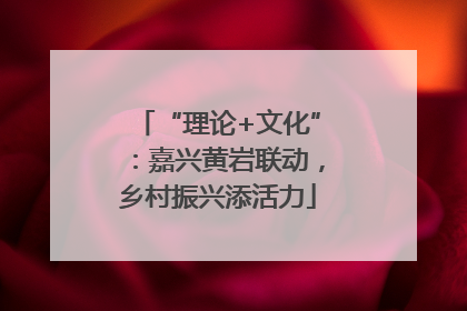 “理论+文化”：嘉兴黄岩联动，乡村振兴添活力