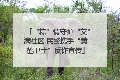 “粽”情守护“艾”满社区 民警携手“黄鹤卫士”反诈宣传