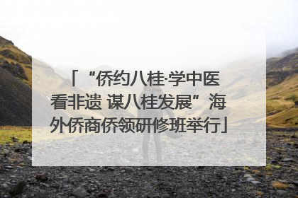 “侨约八桂·学中医 看非遗 谋八桂发展”海外侨商侨领研修班举行