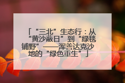 “三北”生态行：从“黄沙蔽日”到“绿毯铺野”——浑善达克沙地的“绿色重生”