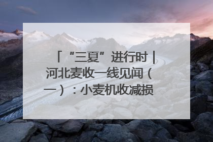 “三夏”进行时｜河北麦收一线见闻（一）：小麦机收减损“竞技” 农机高手麦田“过招”