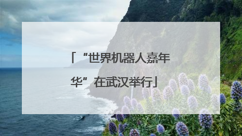 “世界机器人嘉年华”在武汉举行