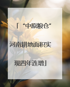 “中原粮仓”河南耕地面积实现四年连增