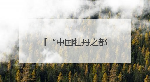 “中国牡丹之都”为“牡丹”立法，《菏泽市牡丹产业发展促进条例（草案建议修改稿）》公开征求意见
