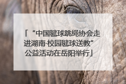 “中国毽球跳绳协会走进湖南·校园毽球送教”公益活动在岳阳举行