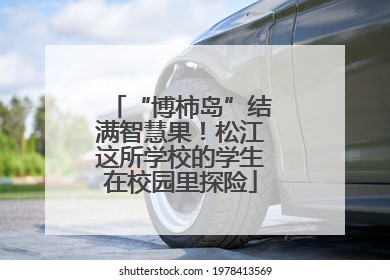 “博柿岛”结满智慧果！松江这所学校的学生在校园里探险