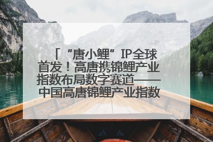 “唐小鲤”IP全球首发！高唐携锦鲤产业指数布局数字赛道——中国高唐锦鲤产业指数暨“唐小鲤”IP全球首发仪式在杭州举行