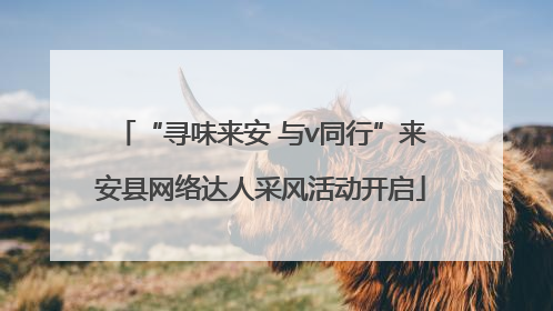 “寻味来安 与v同行”来安县网络达人采风活动开启