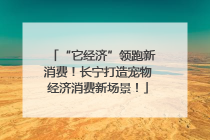“它经济”领跑新消费！长宁打造宠物经济消费新场景！