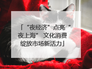 “夜经济”点亮“夜上海” 文化消费绽放市场新活力