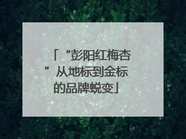 “彭阳红梅杏”从地标到金标的品牌蜕变