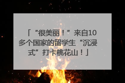 “很美丽！”来自10多个国家的留学生“沉浸式”打卡桃花山！