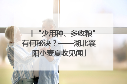 “少用种、多收粮”有何秘诀？——湖北襄阳小麦夏收见闻
