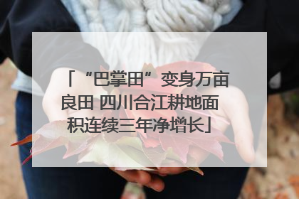 “巴掌田”变身万亩良田 四川合江耕地面积连续三年净增长