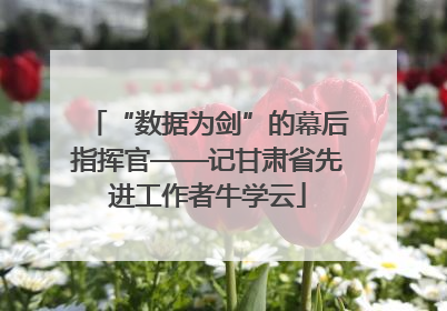 “数据为剑”的幕后指挥官——记甘肃省先进工作者牛学云