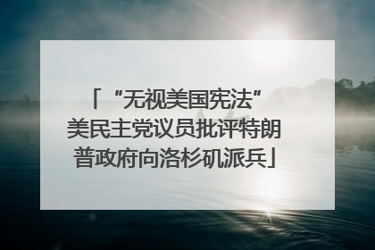 “无视美国宪法” 美民主党议员批评特朗普政府向洛杉矶派兵