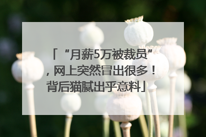 “月薪5万被裁员”，网上突然冒出很多！背后猫腻出乎意料