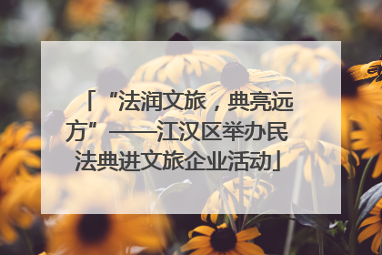 “法润文旅，典亮远方”——江汉区举办民法典进文旅企业活动