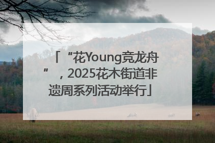 “花Young竞龙舟”，2025花木街道非遗周系列活动举行