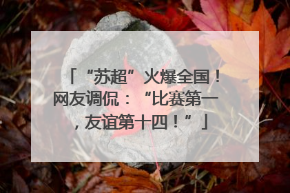 “苏超”火爆全国！网友调侃：“比赛第一，友谊第十四！”