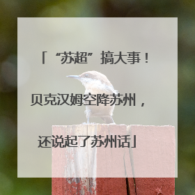 “苏超”搞大事！贝克汉姆空降苏州，还说起了苏州话