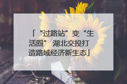 “过路站”变“生活圈” 湖北交投打造路域经济新生态