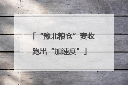 “豫北粮仓”麦收跑出“加速度”