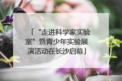 “走进科学家实验室”暨青少年实验展演活动在长沙启幕