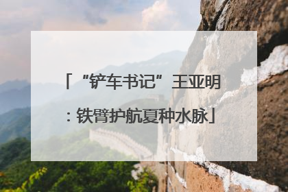 “铲车书记”王亚明：铁臂护航夏种水脉