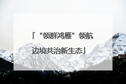 “领群鸿雁”领航边境共治新生态
