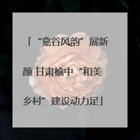 “龛谷风韵”展新颜 甘肃榆中“和美乡村”建设动力足