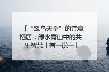 “鹭鸟天堂”的诗意栖居：绿水青山中的共生智慧丨有一说一