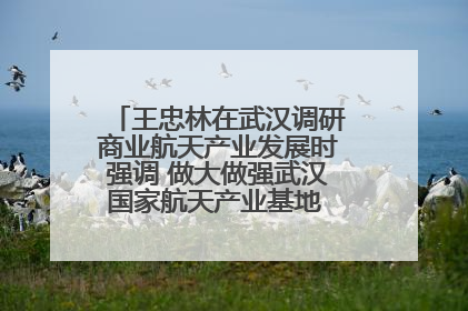 王忠林在武汉调研商业航天产业发展时强调 做大做强武汉国家航天产业基地 打造具有全国影响力的“中国星谷”
