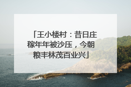 王小楼村：昔日庄稼年年被沙压，今朝粮丰林茂百业兴