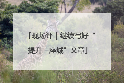 现场评｜继续写好“提升一座城”文章