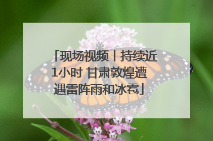 现场视频丨持续近1小时 甘肃敦煌遭遇雷阵雨和冰雹