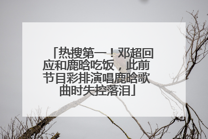 热搜第一！邓超回应和鹿晗吃饭，此前节目彩排演唱鹿晗歌曲时失控落泪