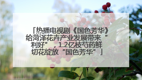 热播电视剧《国色芳华》给菏泽花卉产业发展带来“利好”，1.2亿枝芍药鲜切花绽放“国色芳华”