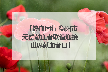 热血同行 衡阳市无偿献血者联谊迎接世界献血者日