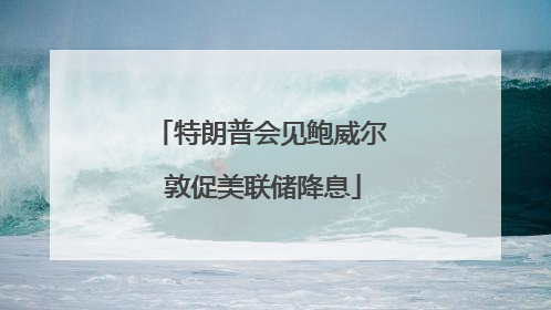 特朗普会见鲍威尔 敦促美联储降息
